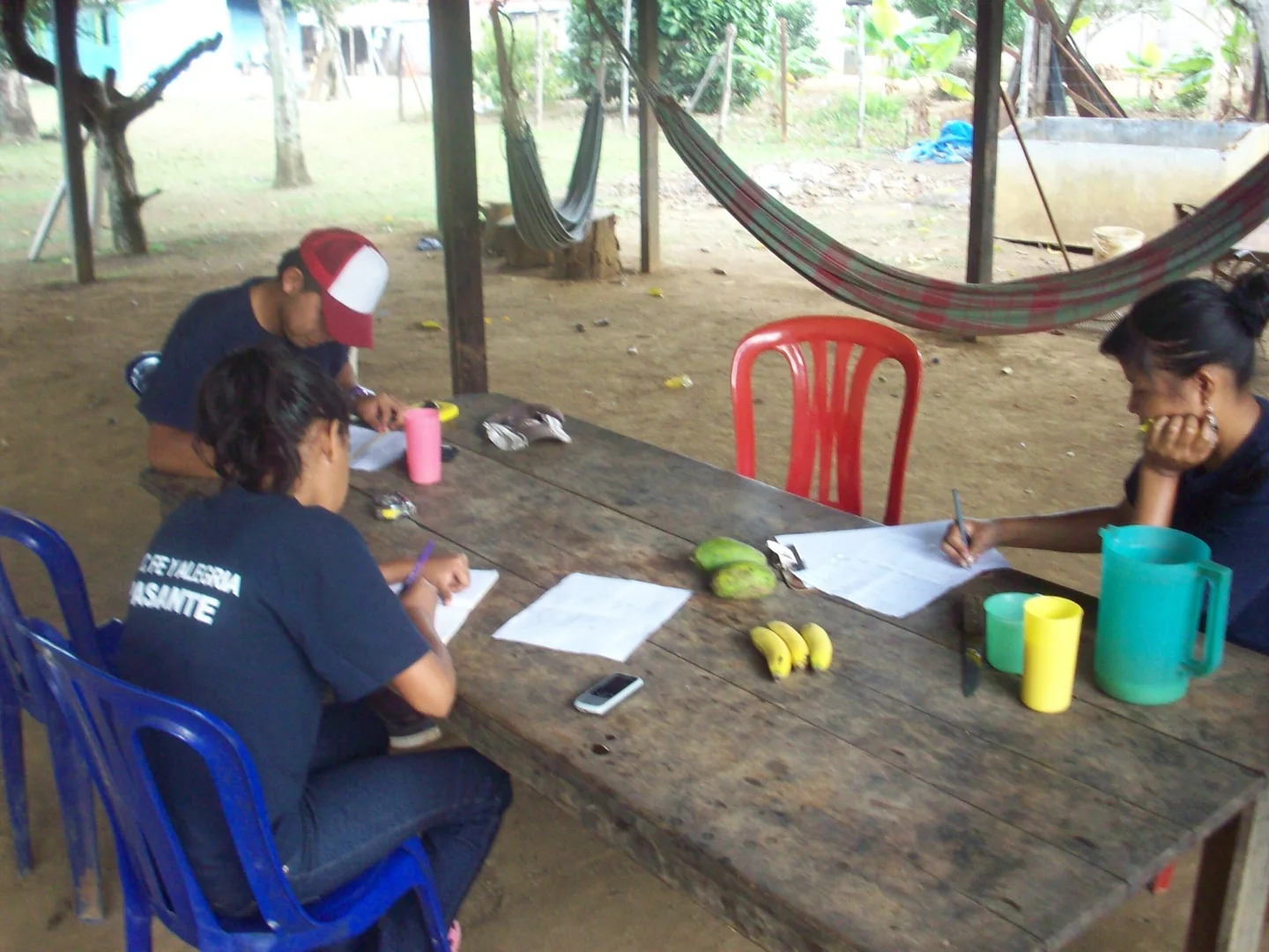 Estudiantes realizando actividades de pasantía